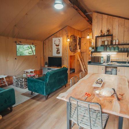Cosy Forest Lodge Penrhos  외부 사진