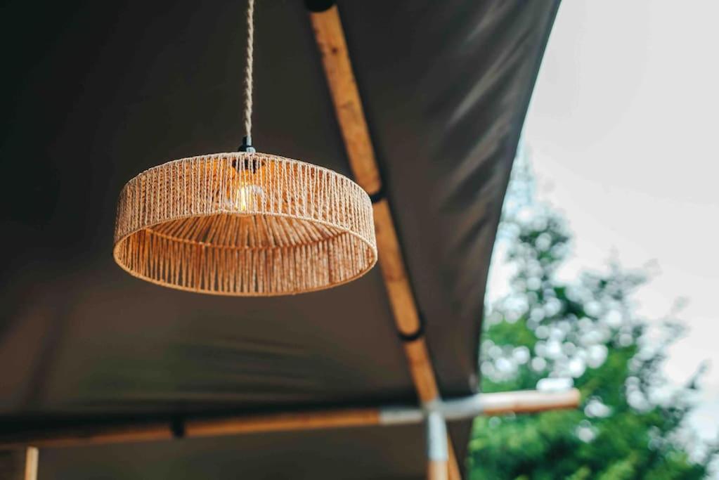 Cosy Forest Lodge Penrhos  외부 사진