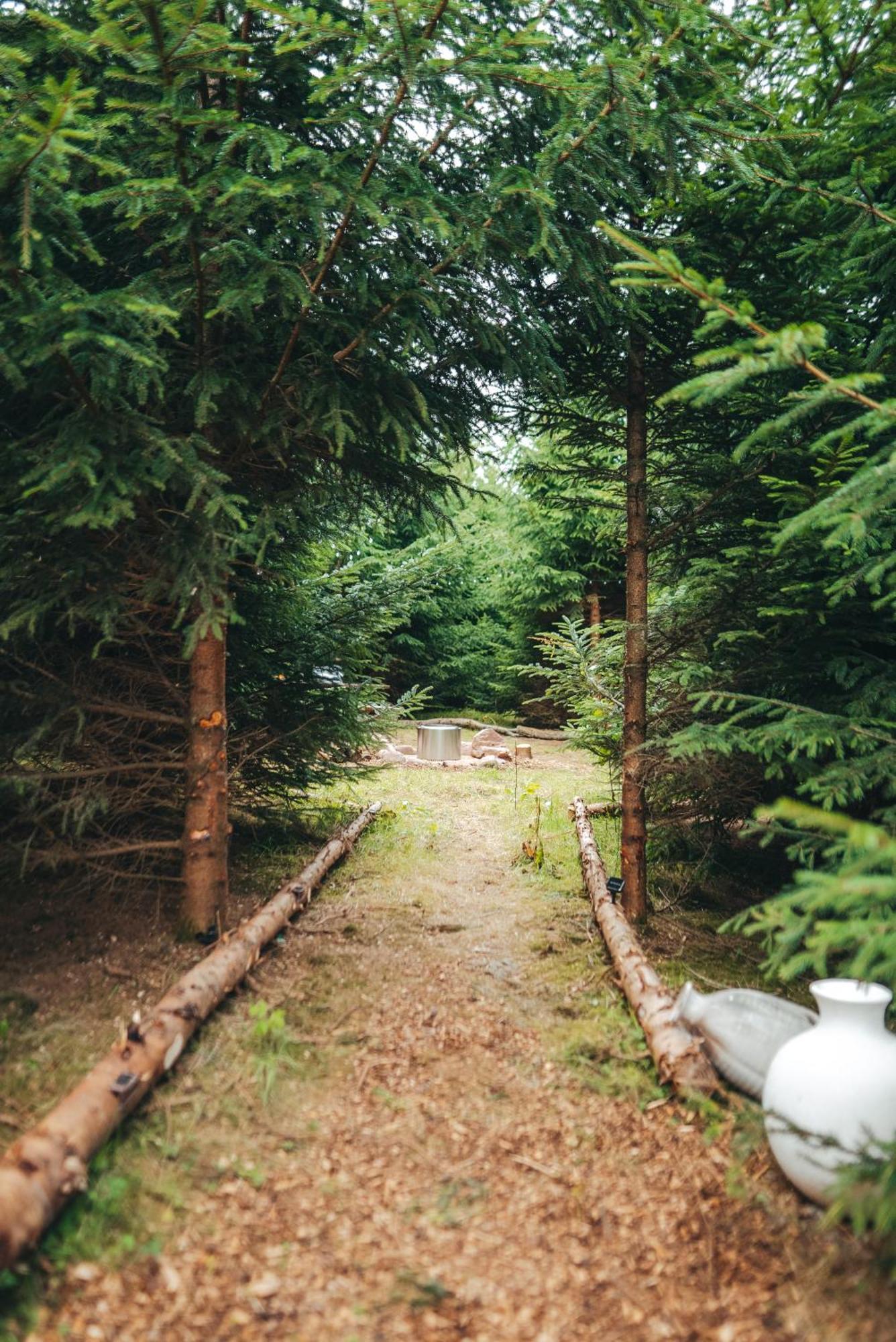 Cosy Forest Lodge Penrhos  외부 사진