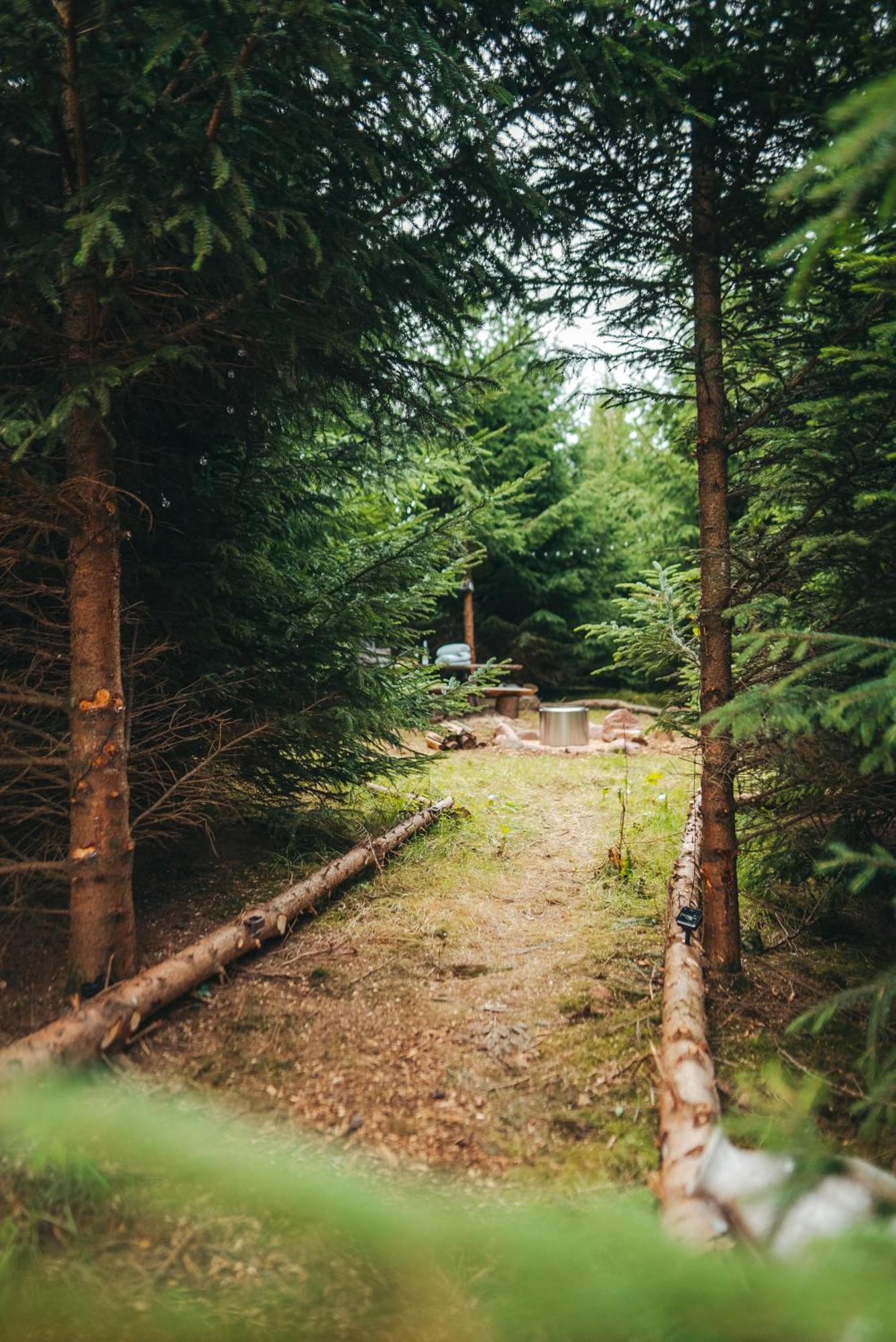 Cosy Forest Lodge Penrhos  외부 사진