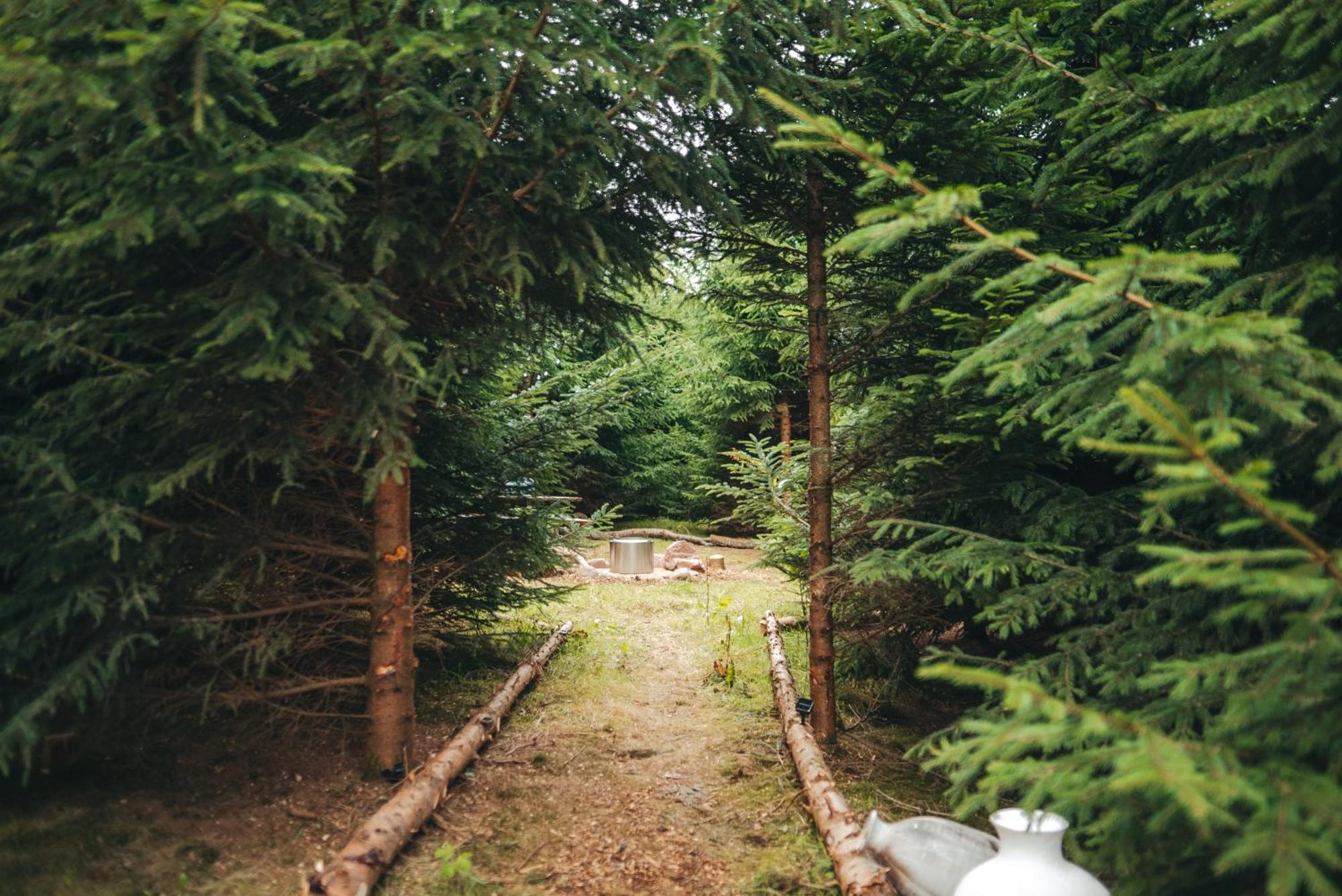 Cosy Forest Lodge Penrhos  외부 사진