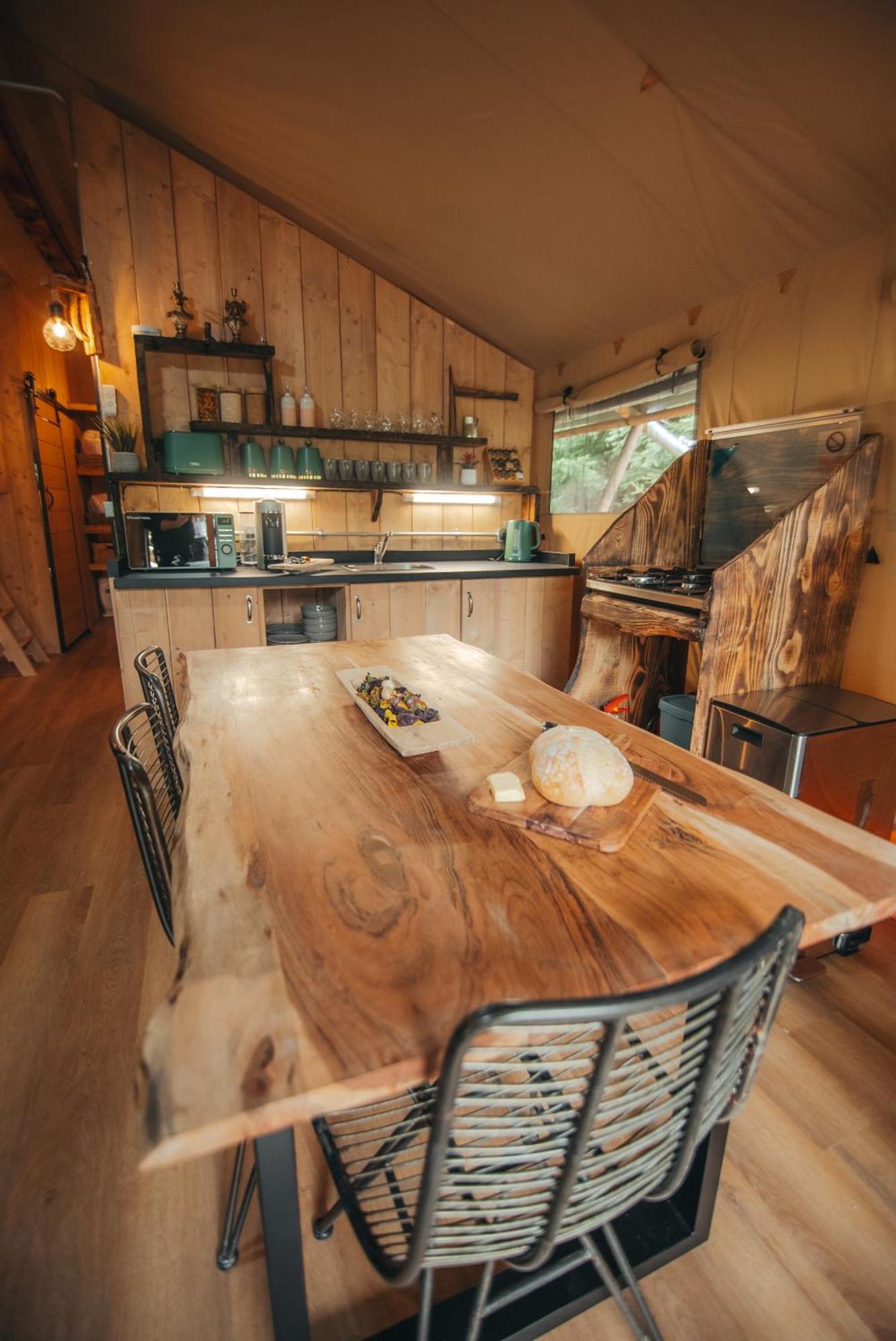 Cosy Forest Lodge Penrhos  외부 사진