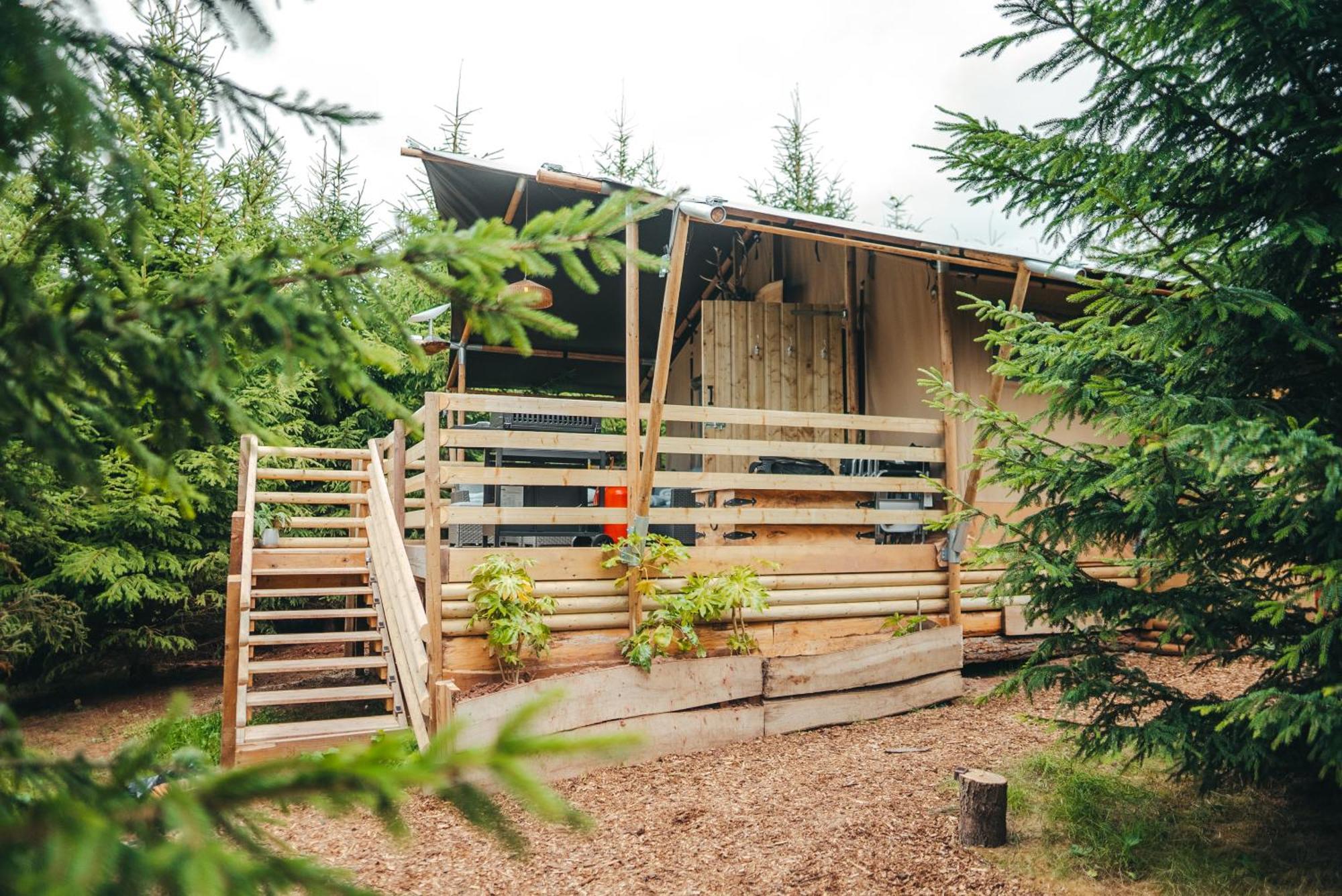 Cosy Forest Lodge Penrhos  외부 사진