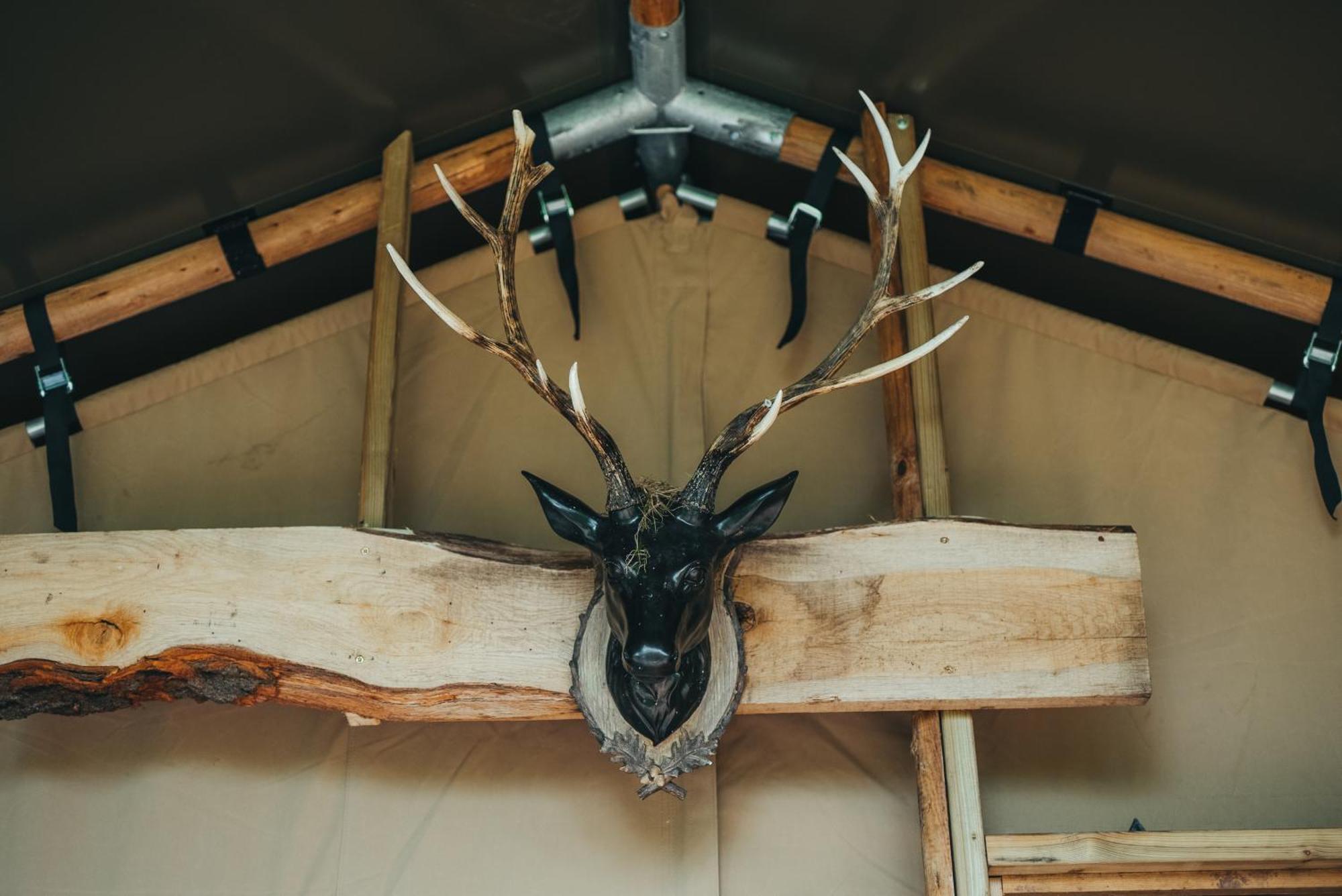 Cosy Forest Lodge Penrhos  외부 사진