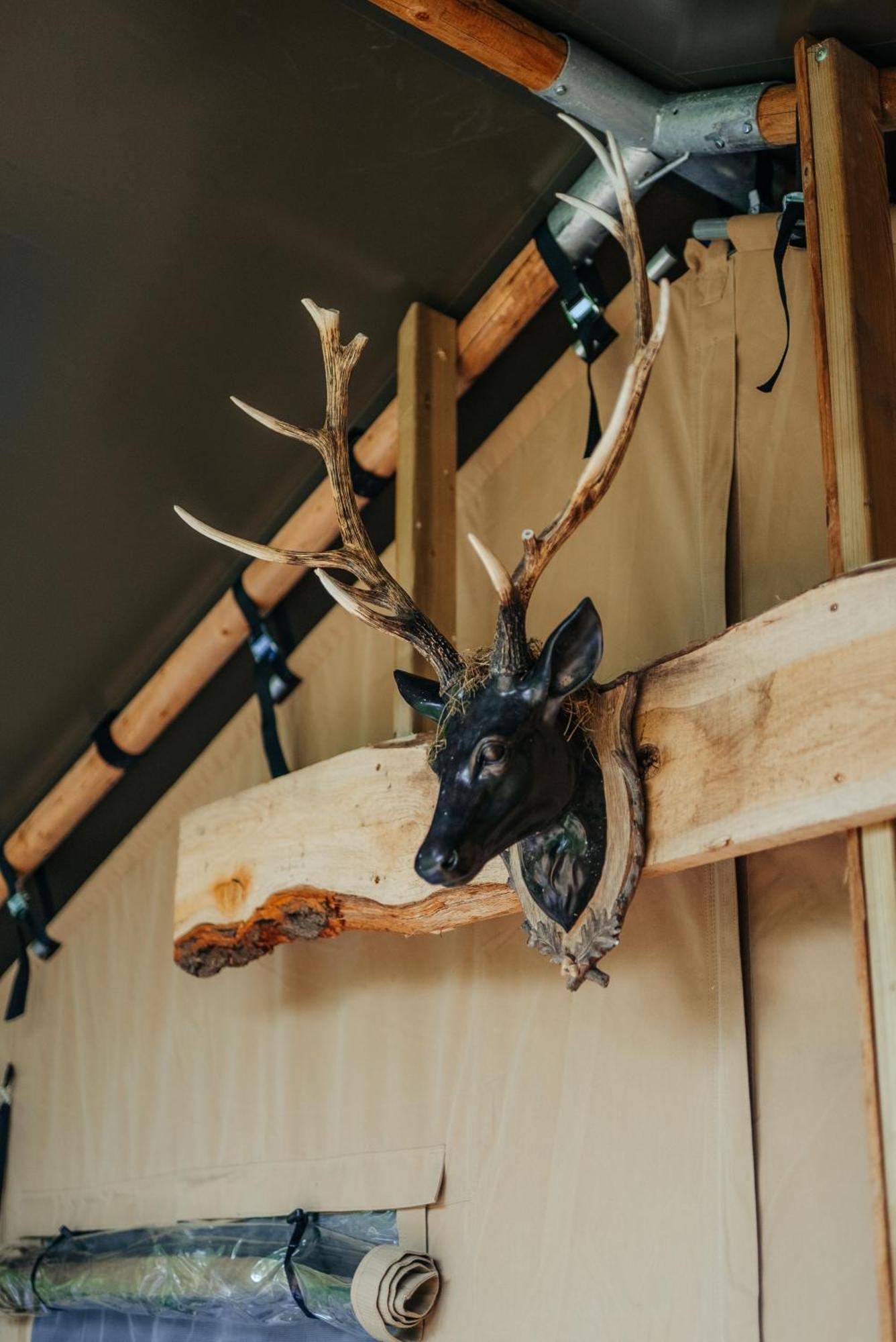 Cosy Forest Lodge Penrhos  외부 사진