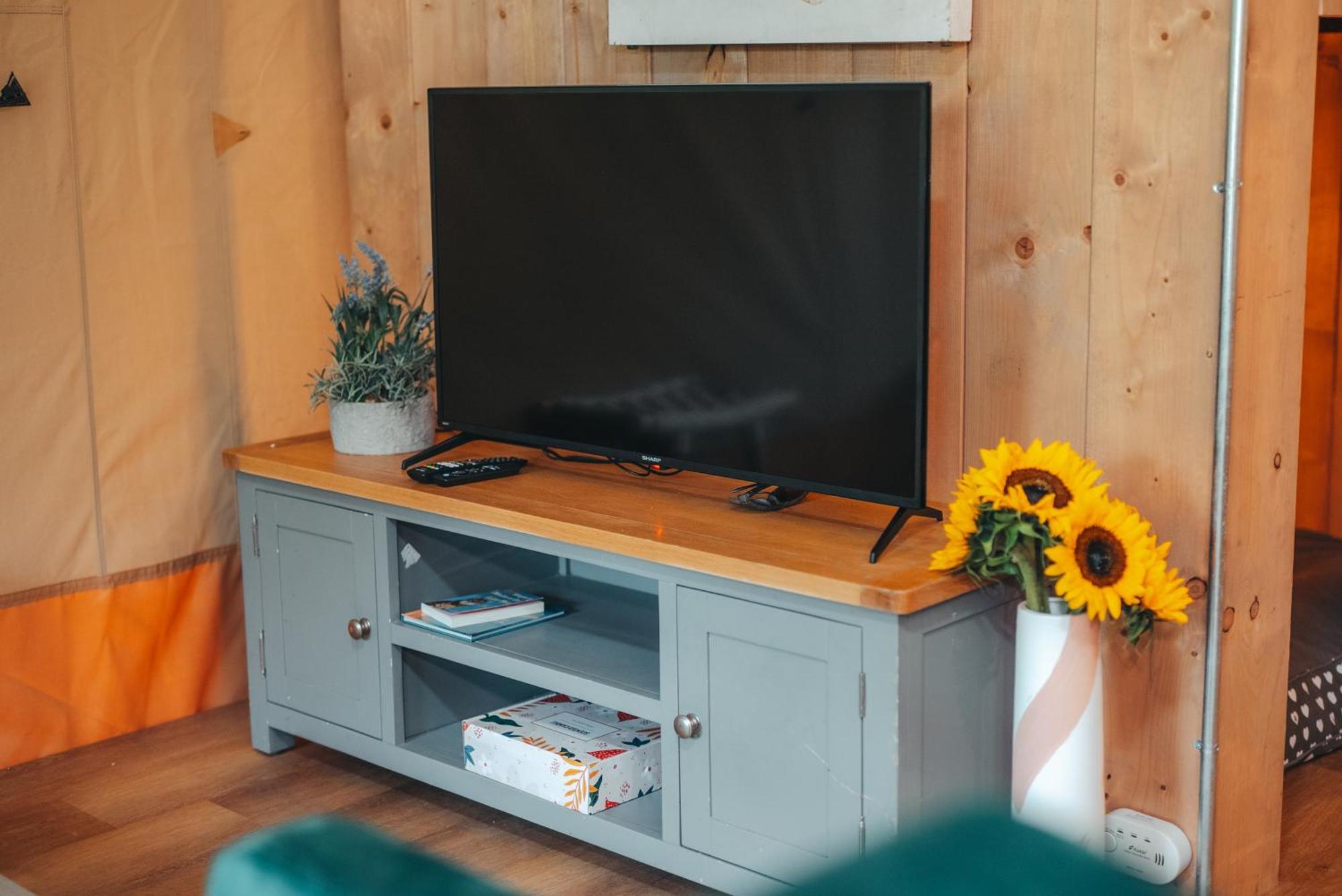 Cosy Forest Lodge Penrhos  외부 사진