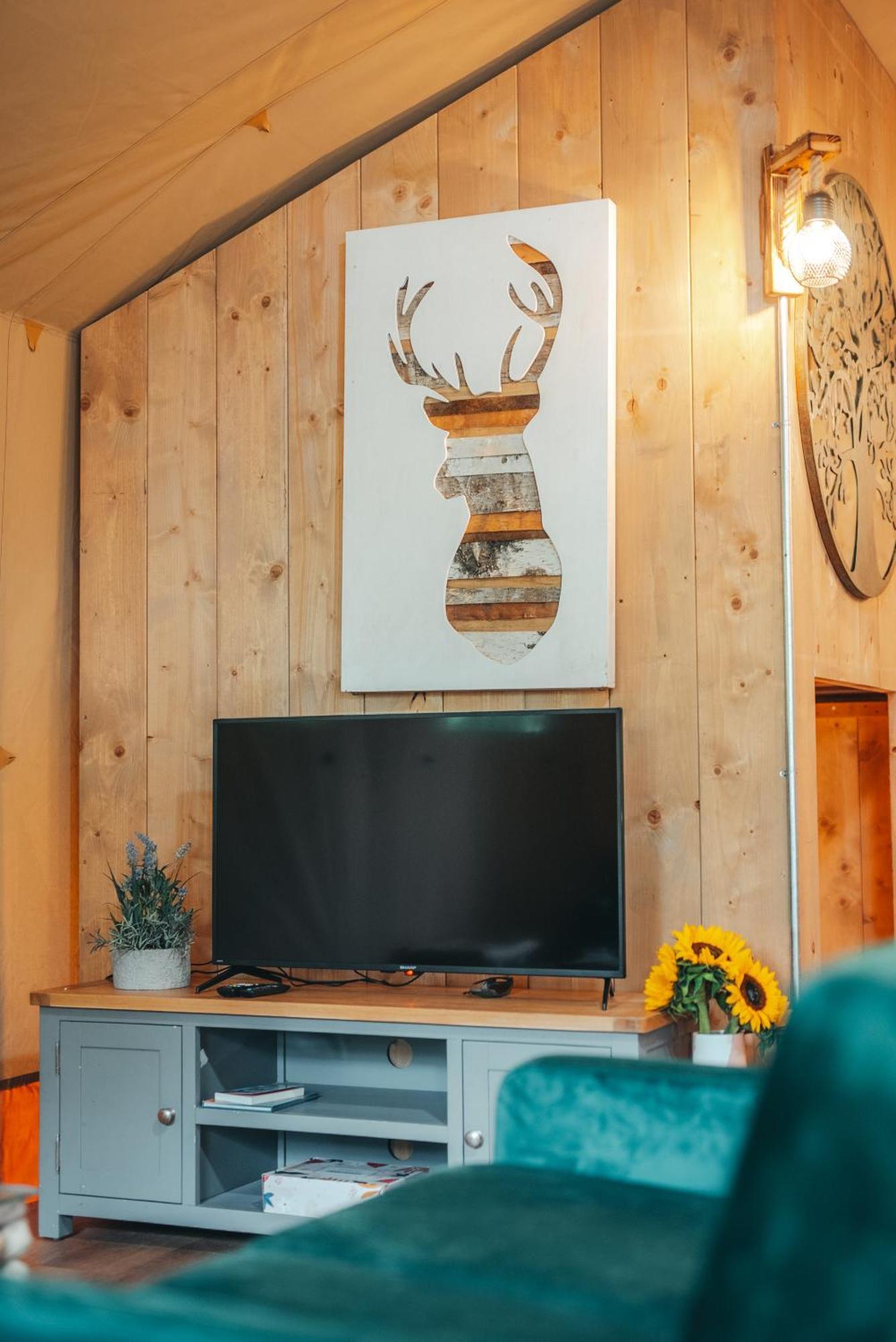 Cosy Forest Lodge Penrhos  외부 사진